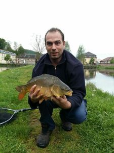 Mirror Carp