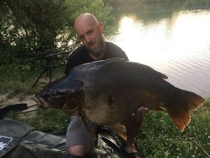 Mirror Carp