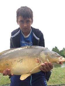 Mirror Carp
