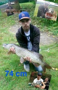 Northern Pike
