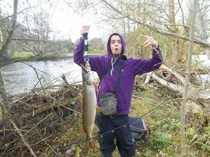 Northern Pike