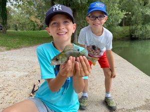 European Perch
