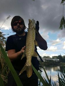 Northern Pike