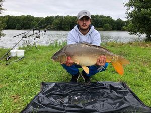 Mirror Carp