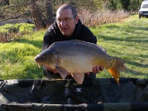 Mirror Carp