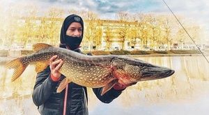 Northern Pike