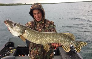 Northern Pike