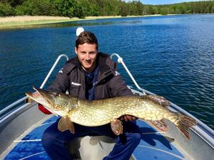 Northern Pike