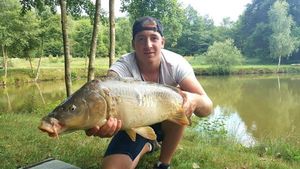 Mirror Carp