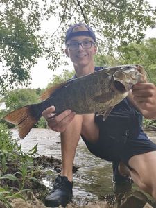 Smallmouth Bass
