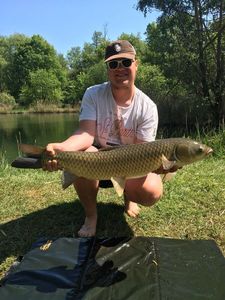 Grass Carp