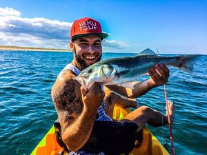 European Bass (Seabass)