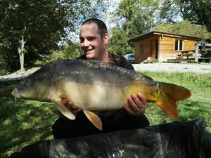 Mirror Carp