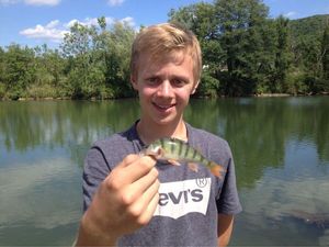 European Perch