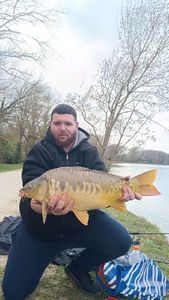 Common Carp