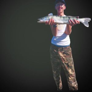 Zander