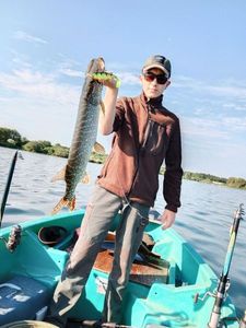 Northern Pike