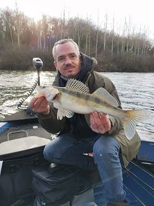 Zander