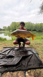 Common Carp, gefangen von Yanis Bouras