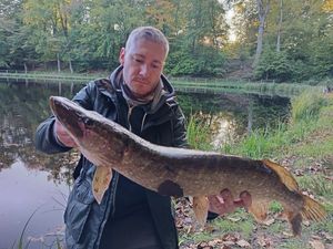 Northern Pike