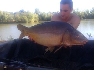 Leather Carp