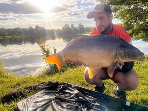 Mirror Carp