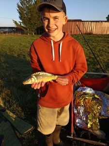 Mirror Carp