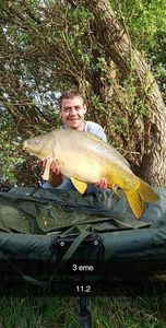 Mirror Carp