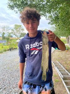 Northern Pike