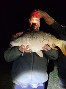 Leather Carp