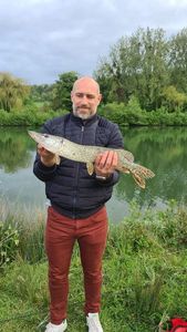 Northern Pike