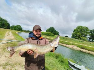 Northern Pike
