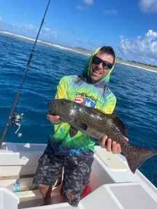 Coral Trout
