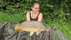 Common Carp