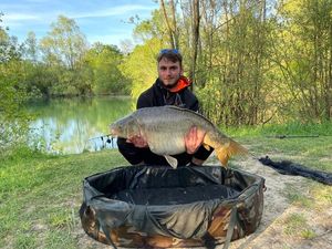Mirror Carp