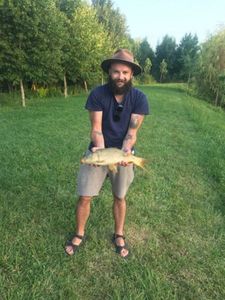Common Carp