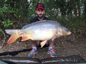 Mirror Carp