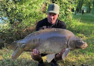 Mirror Carp