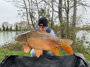 Leather Carp