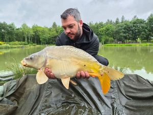 Mirror Carp