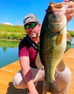 Largemouth Bass