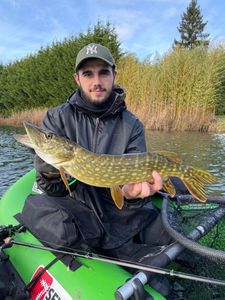 Northern Pike