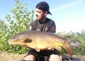 Mirror Carp