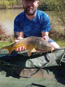 Common Carp