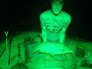 Common Carp