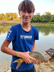 Mirror Carp