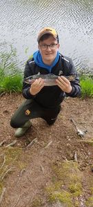 Cutthroat Trout