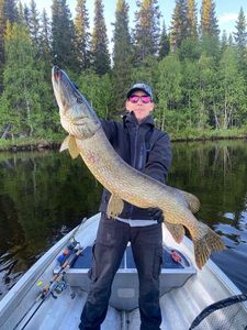 Northern Pike