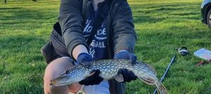 Northern Pike