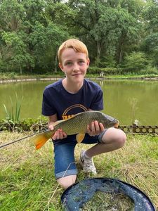 Common Carp